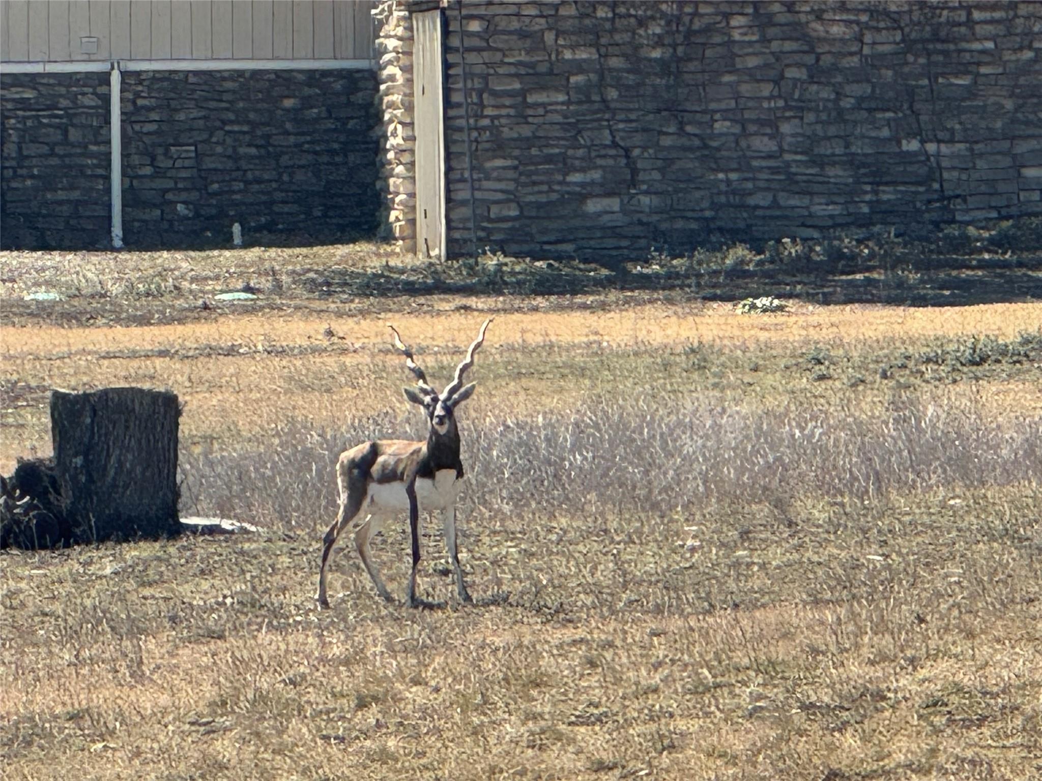 0 E Majestic Creek Dr # Lot 10, Blanco, TX 78606