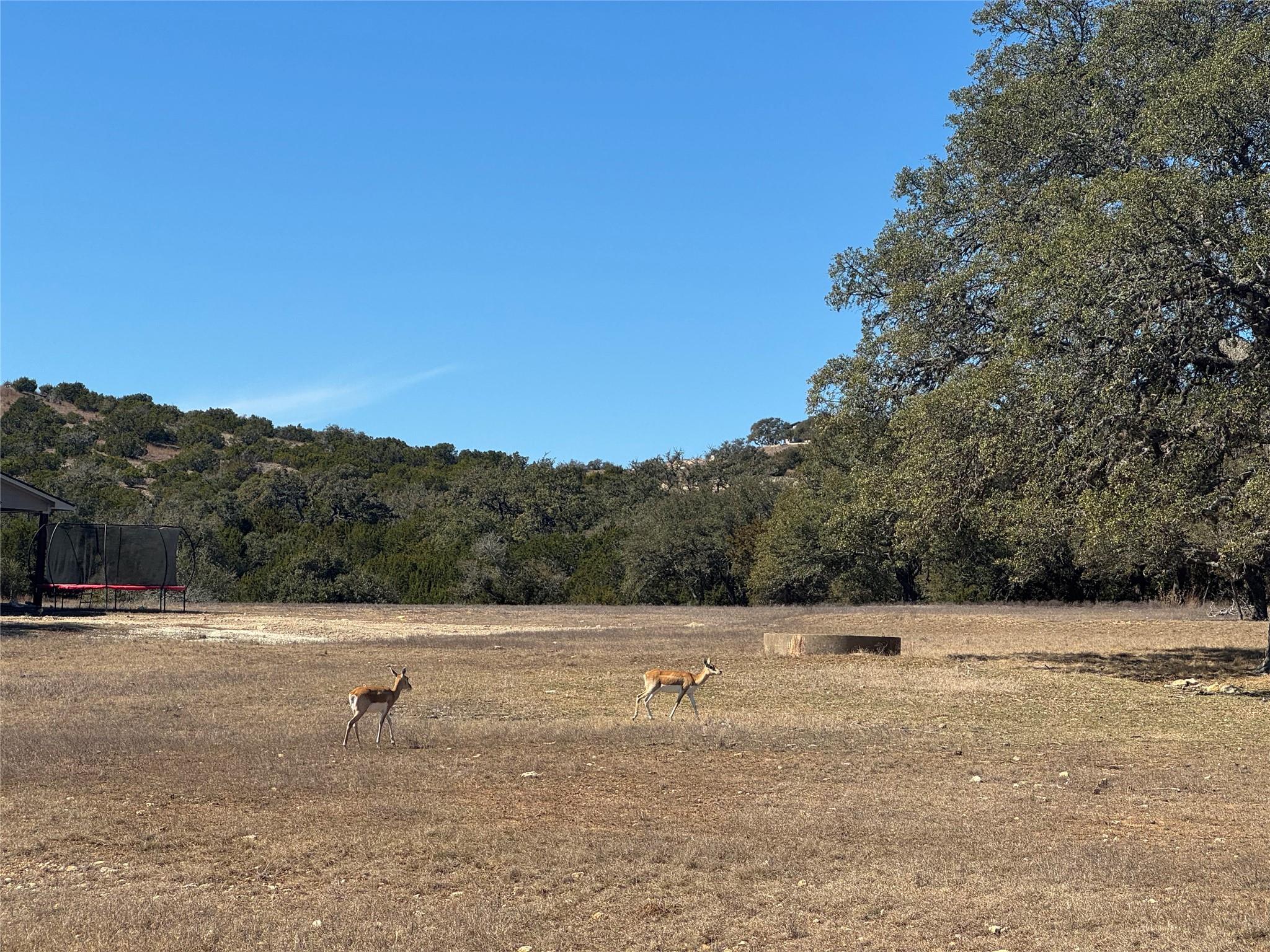 0 E Majestic Creek Dr # Lot 10, Blanco, TX 78606