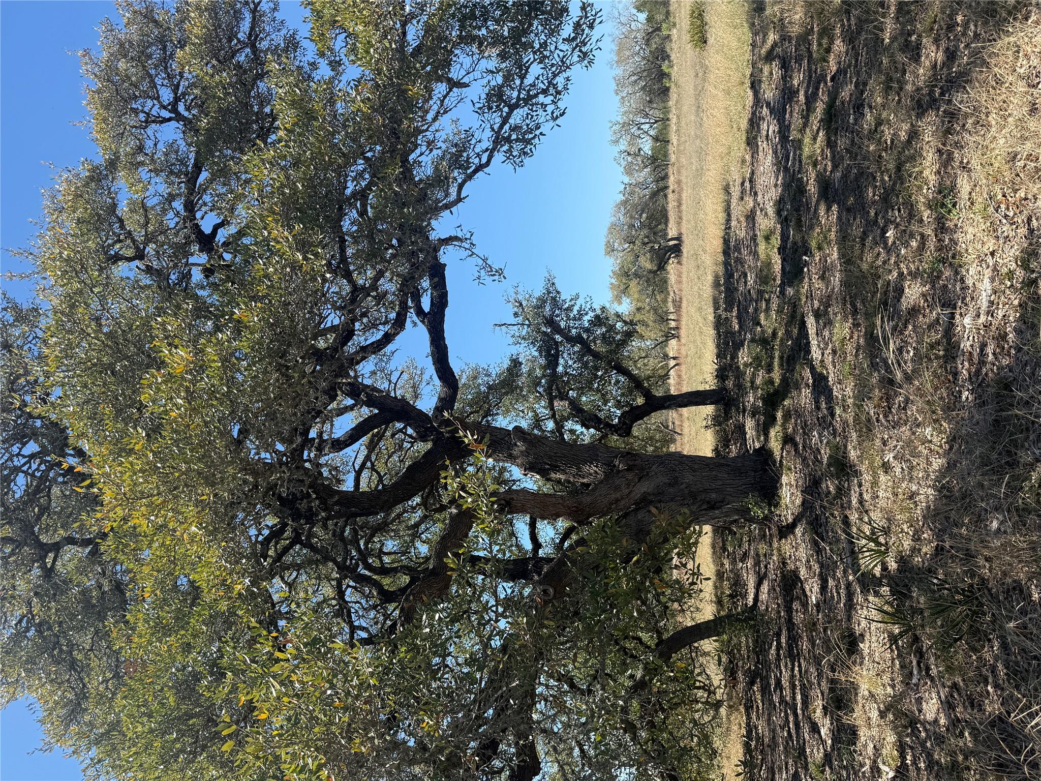 000 Barton Bend Lot 7 & Lot 6 Bnd, Dripping Springs, TX 78620