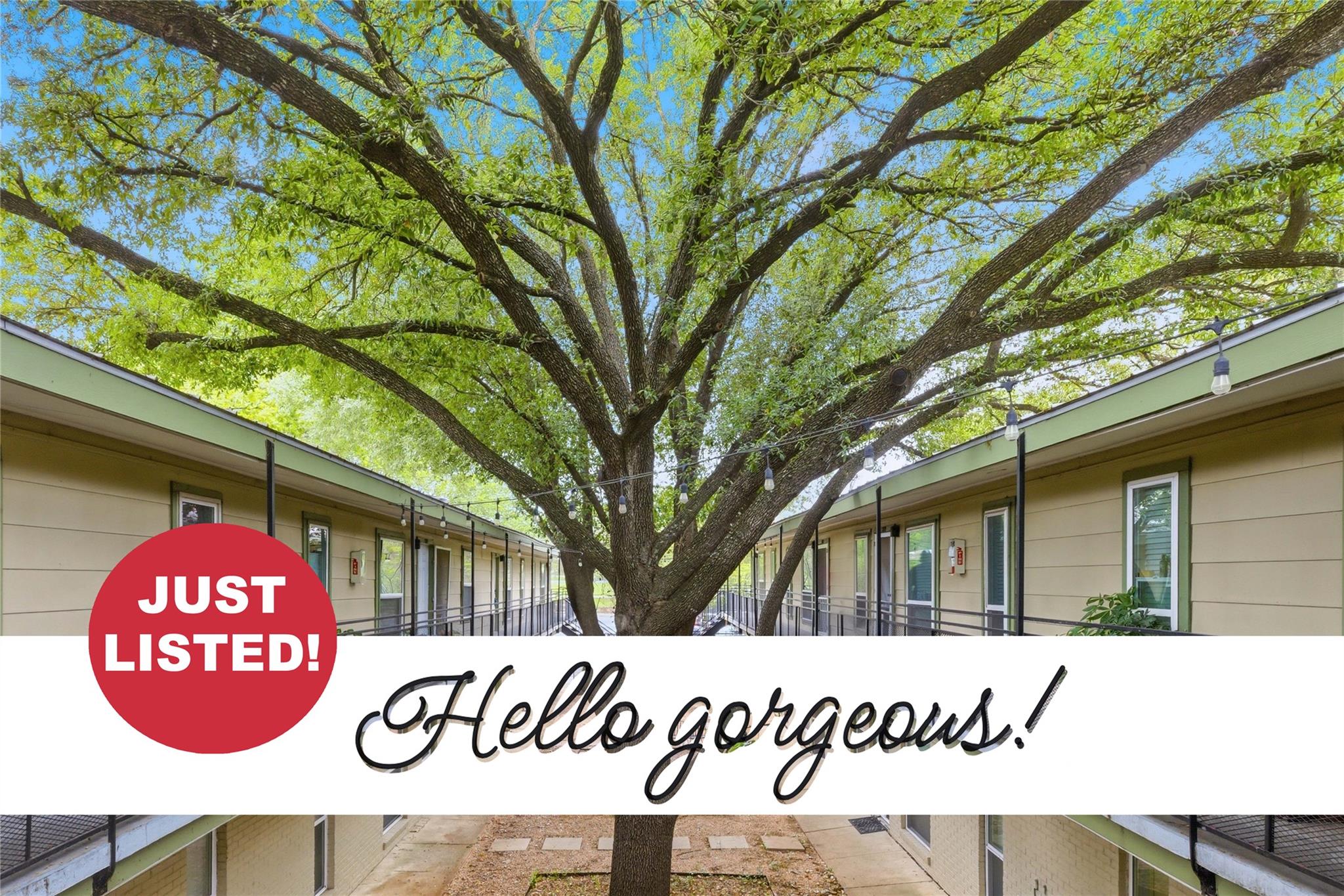 2021 Bluebonnet Ln # 104, Austin, TX 78704