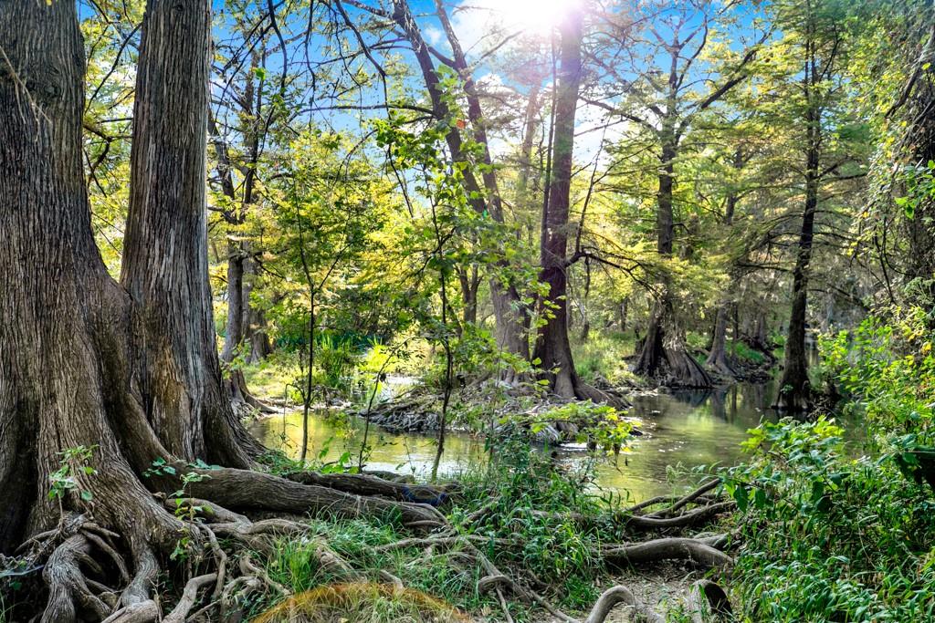 730 E Mather St # B101, New Braunfels, TX 78130