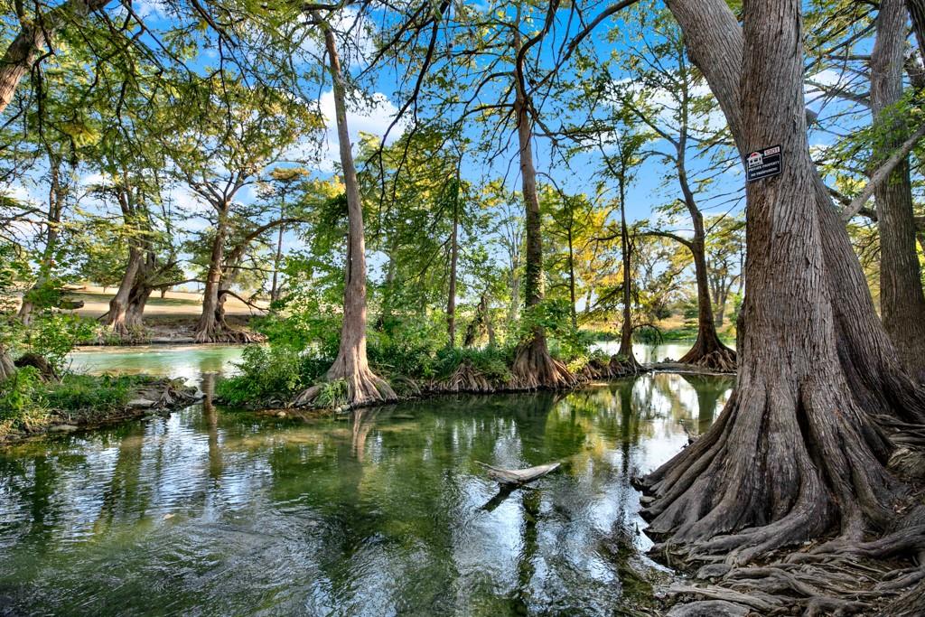 730 E Mather St # B101, New Braunfels, TX 78130