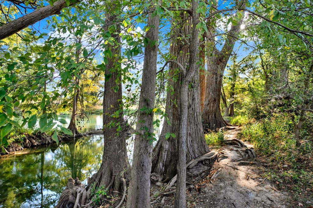 730 E Mather St # B101, New Braunfels, TX 78130