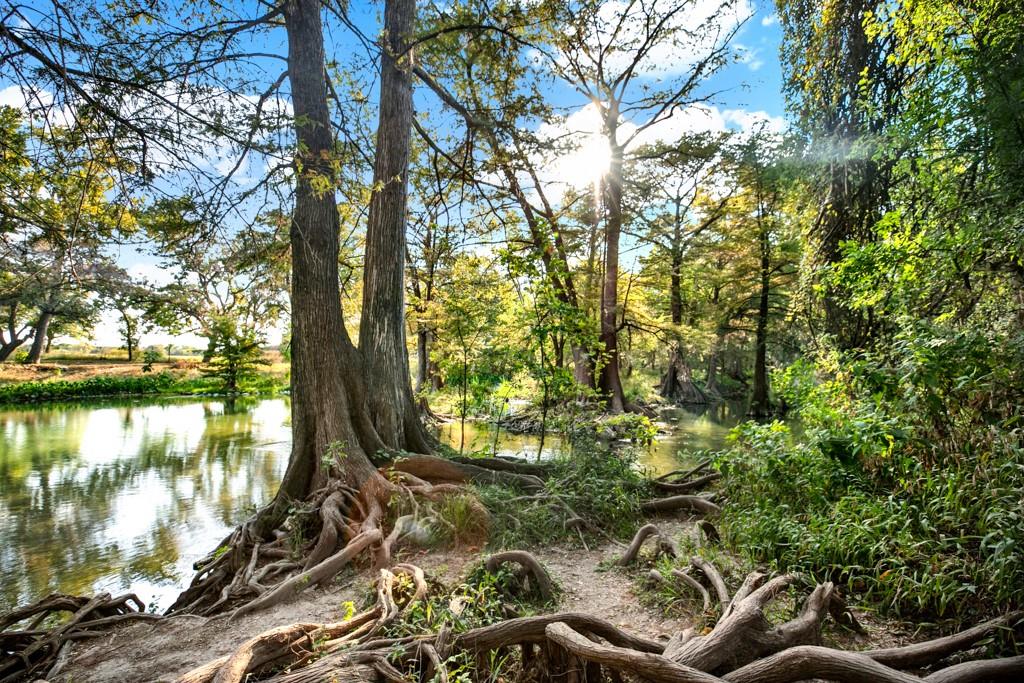 730 E Mather St # B101, New Braunfels, TX 78130