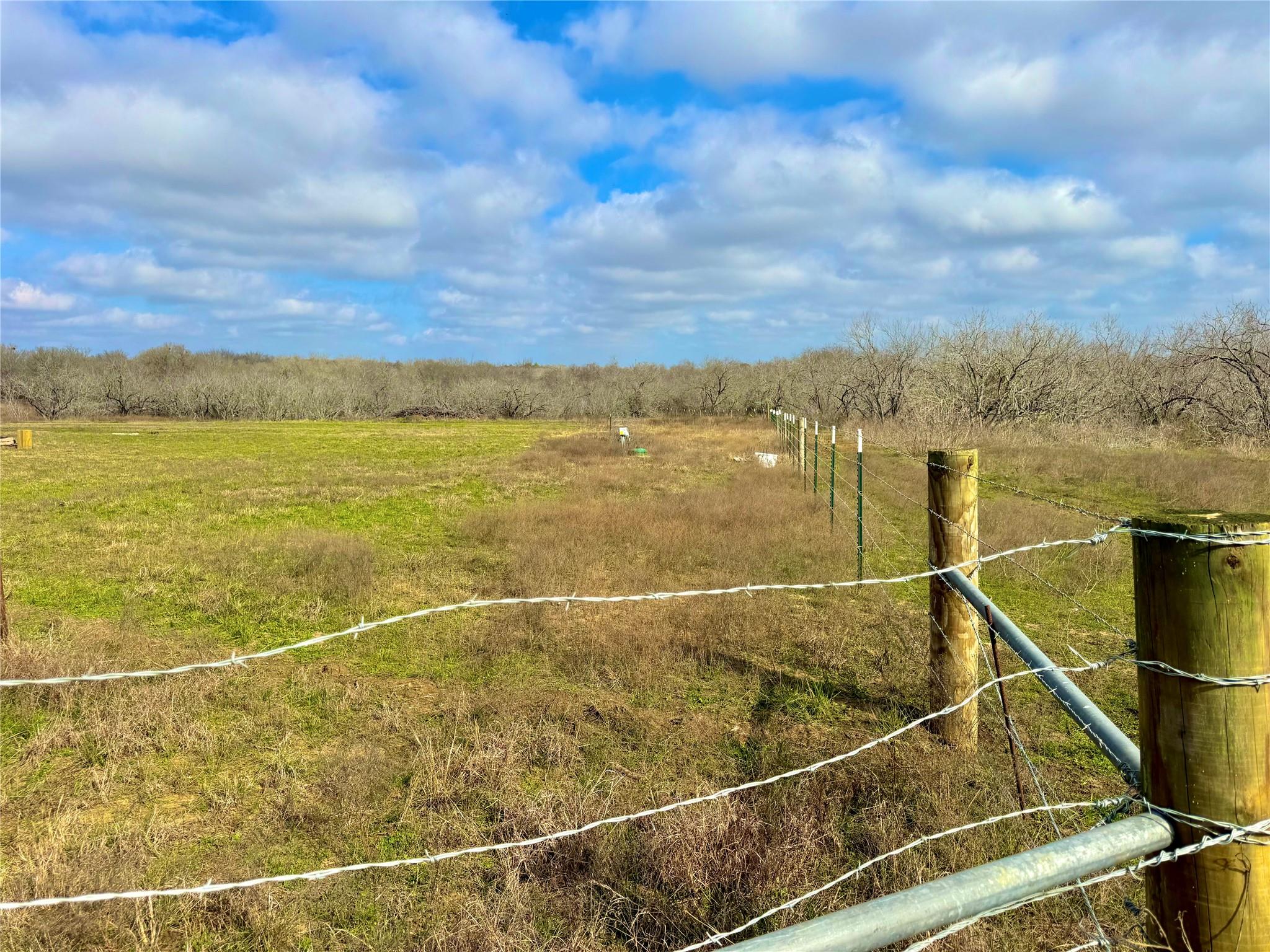 1118 County Road 447, Waelder, TX 78959