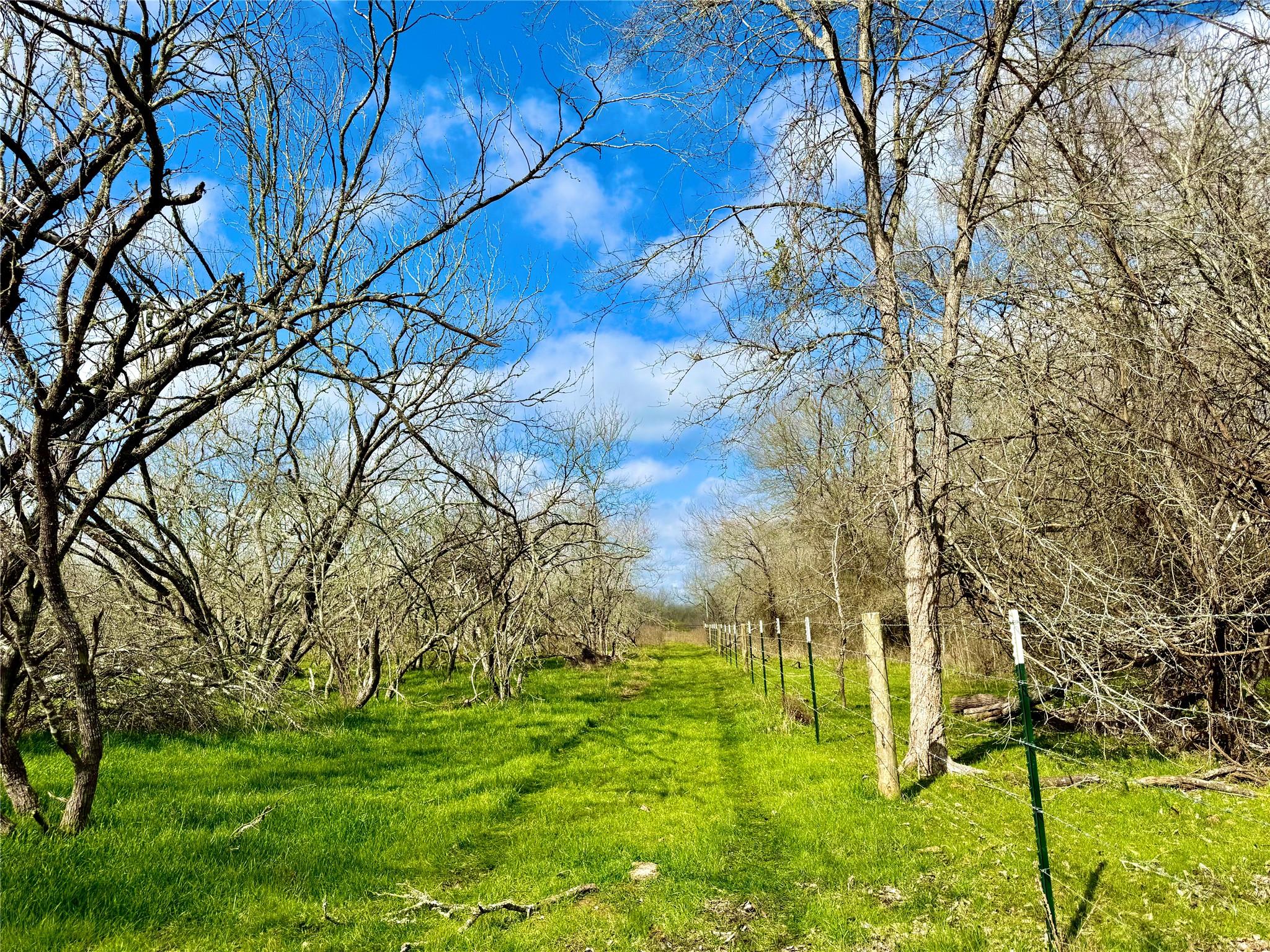 1118 County Road 447, Waelder, TX 78959