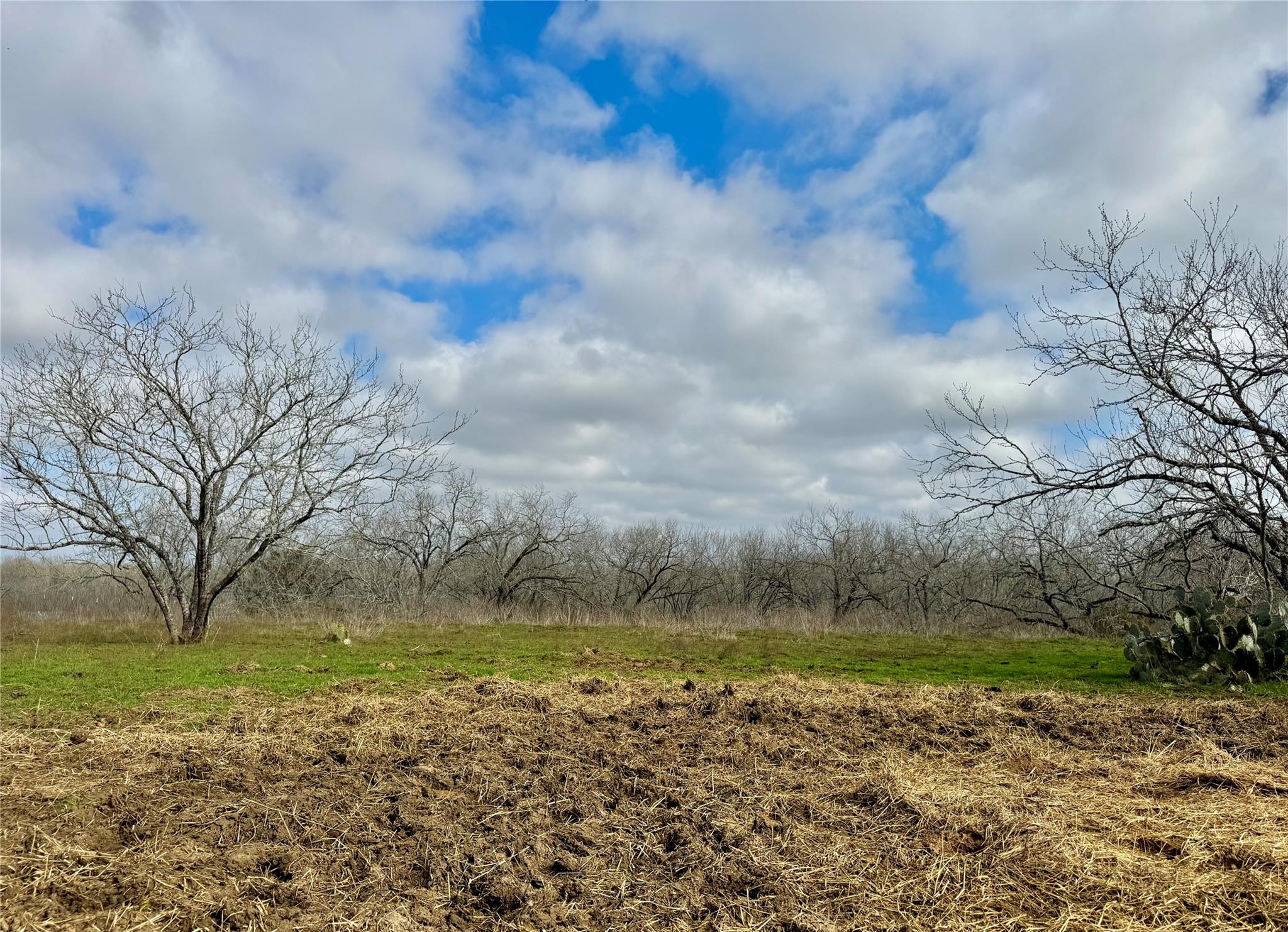 1118 County Road 447, Waelder, TX 78959