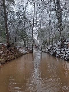 1102 Fairview Dr, Rockdale, TX 76567