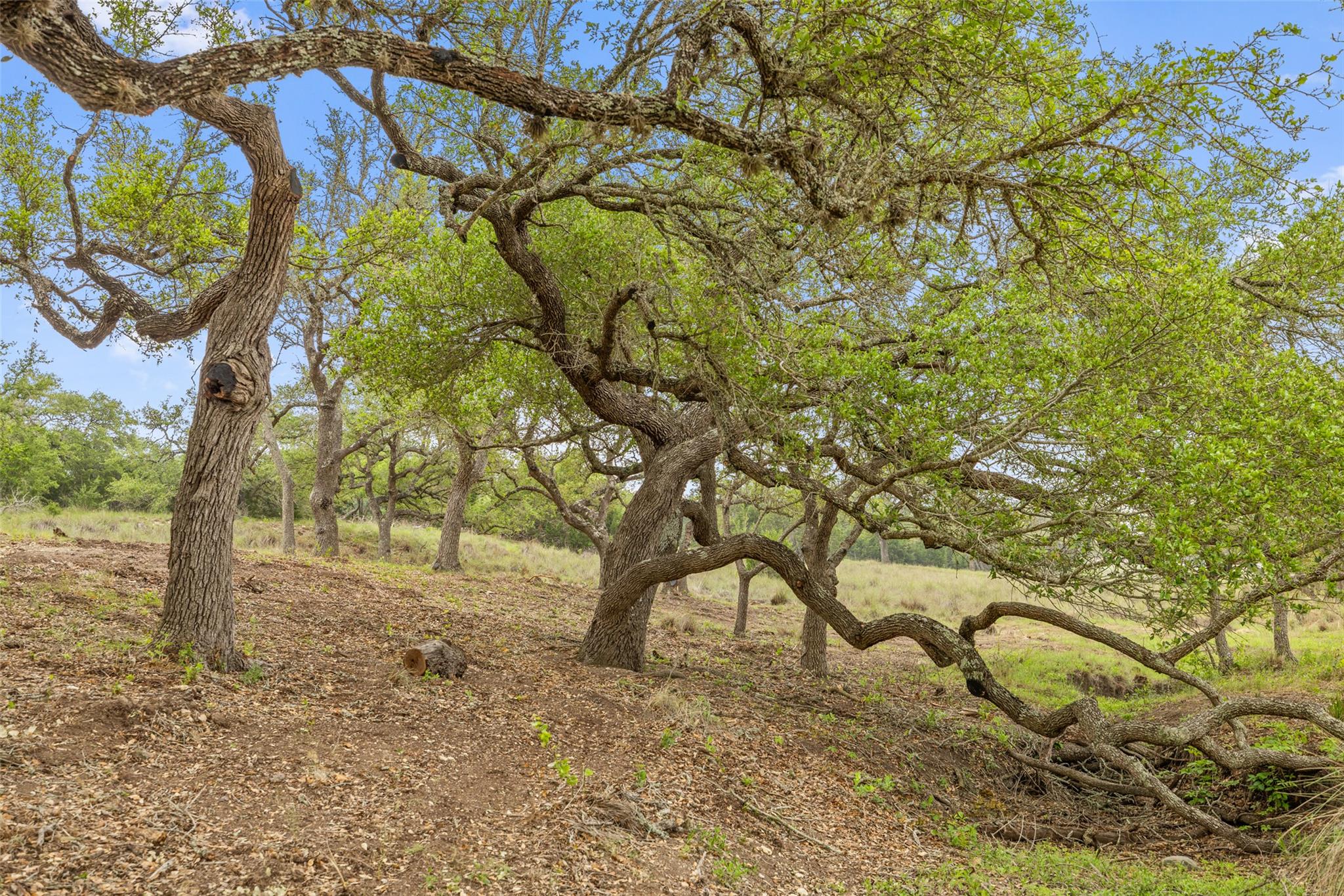 4112 Schumann Rd, Stonewall, TX 78671