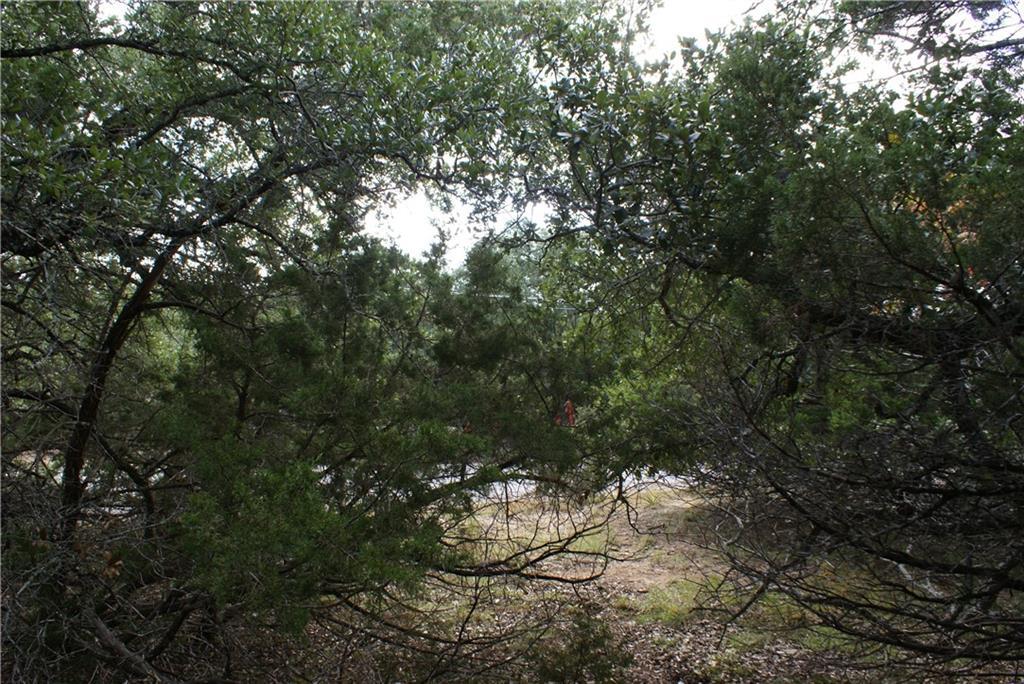 Lot 31 Panorama Dr, Dripping Springs, TX 78620