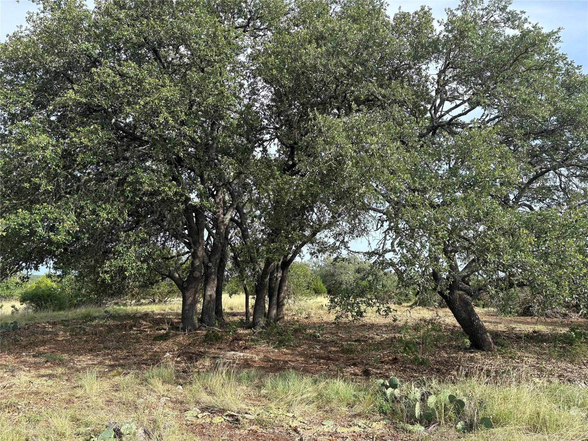 831 Hidden Creek Dr, Dripping Springs, TX 78620