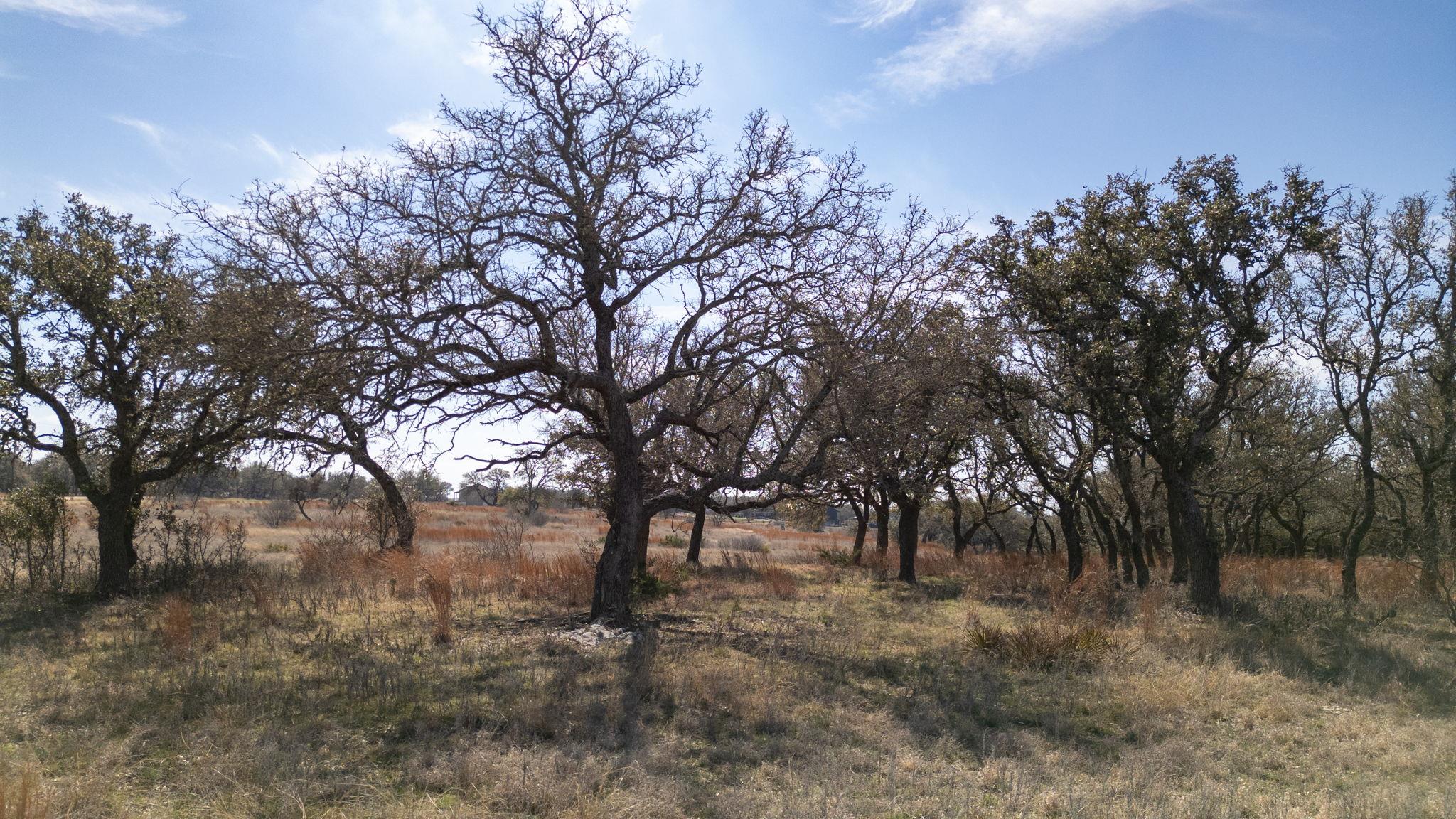 100 S Waterbuck Way, Lampasas, TX 76550