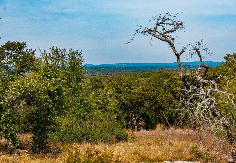 6026 Sentry Pt, Fischer, TX 78623