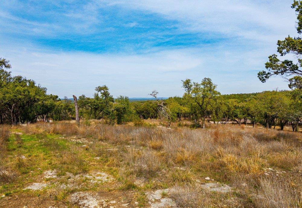 6026 Sentry Pt, Fischer, TX 78623