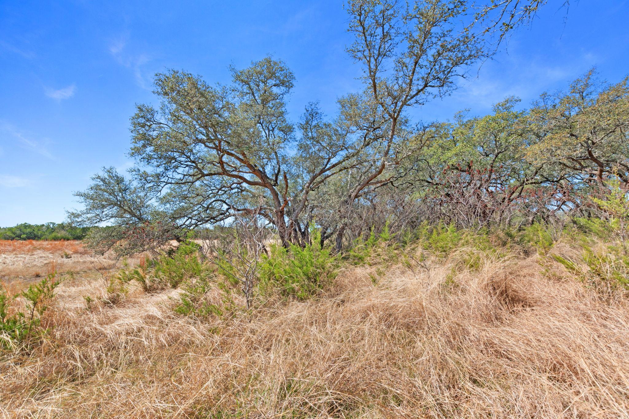 TBD Carpenter Court Cor, Burnet, TX 78611