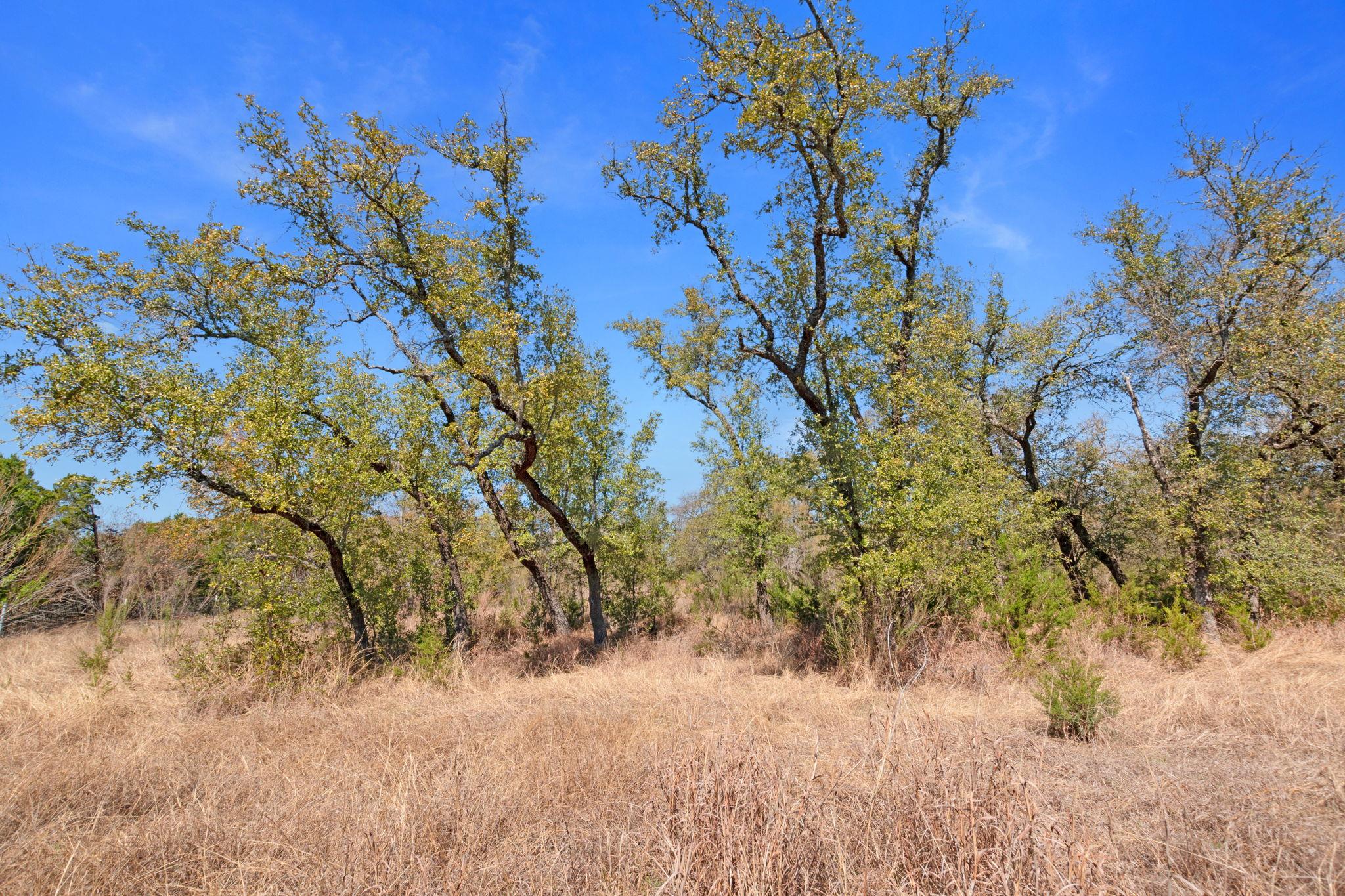 TBD Carpenter Court Cor, Burnet, TX 78611