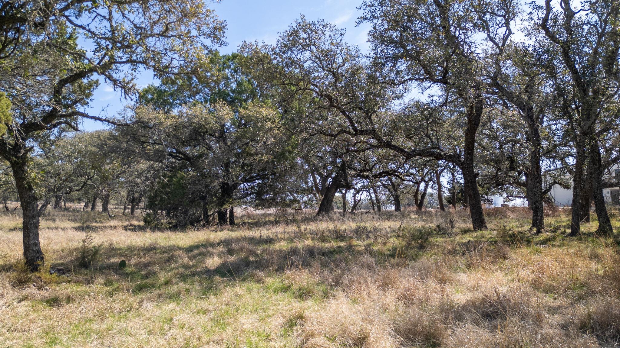 TBD Blackbuck Ridge Dr, Lampasas, TX 76550