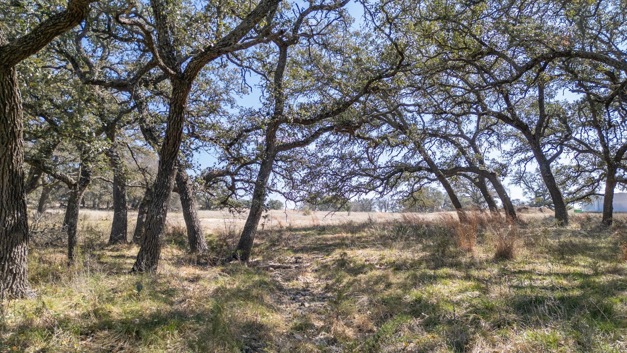 TBD Blackbuck Ridge Dr, Lampasas, TX 76550
