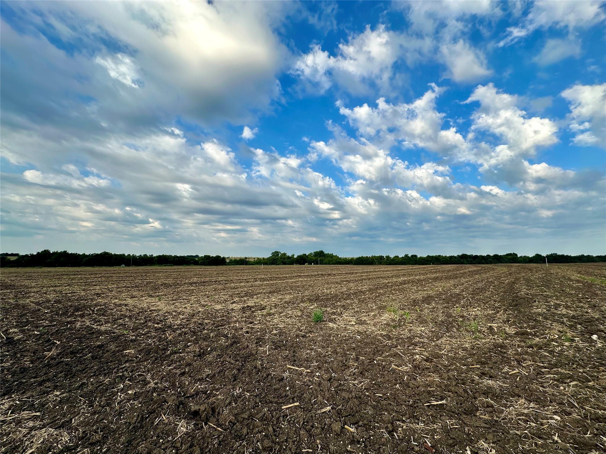 Lot 7 CR 320, Granger, TX 76530