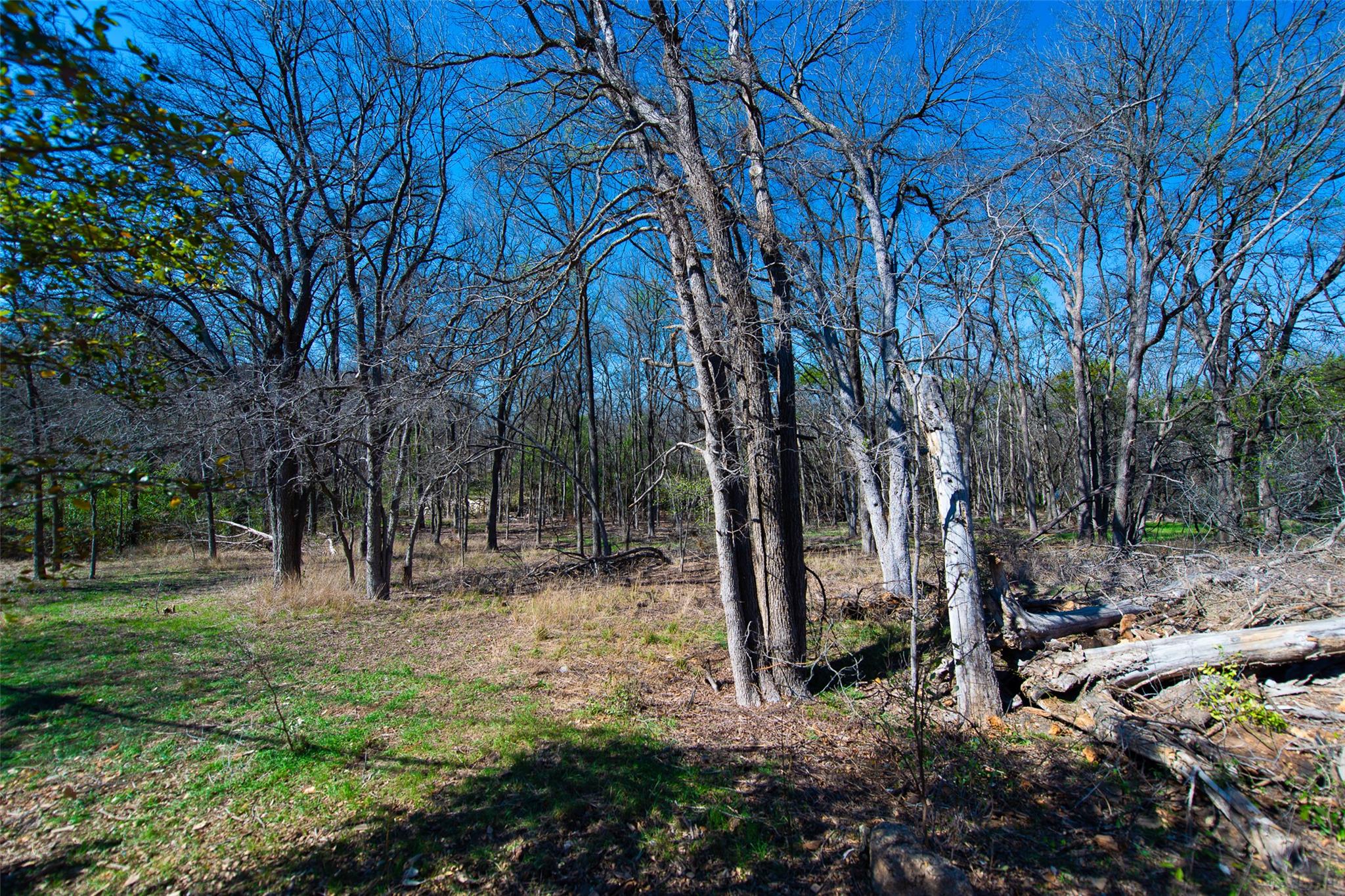 2704 Catalina Dr # B, Austin, TX 78741