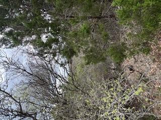 20801 Jamestown Cv, Leander, TX 78645