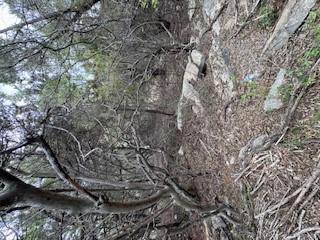 20801 Jamestown Cv, Leander, TX 78645