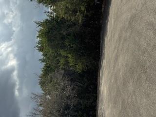 20801 Jamestown Cv, Leander, TX 78645