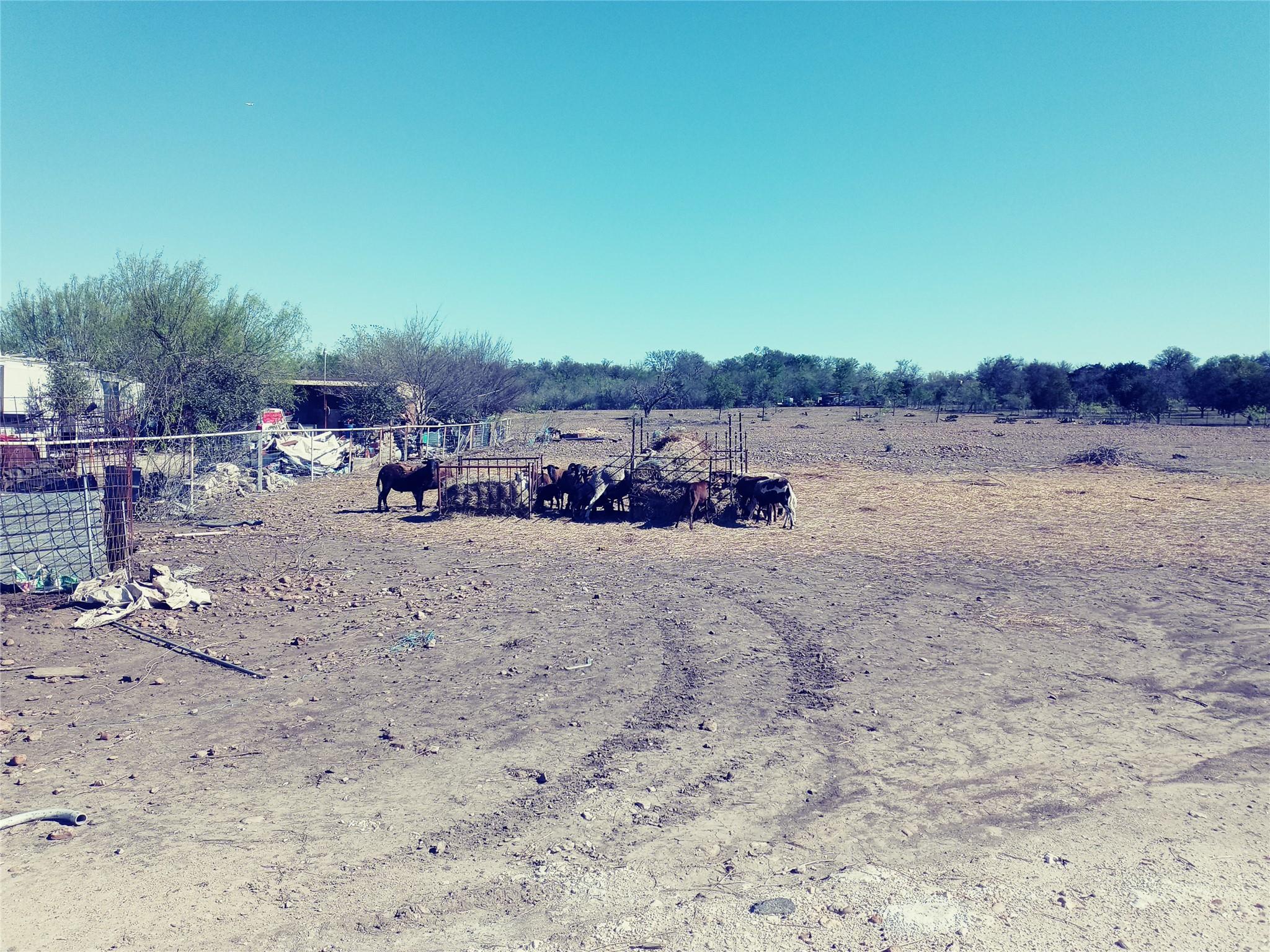 11717 Schriber Rd # B, Buda, TX 78610