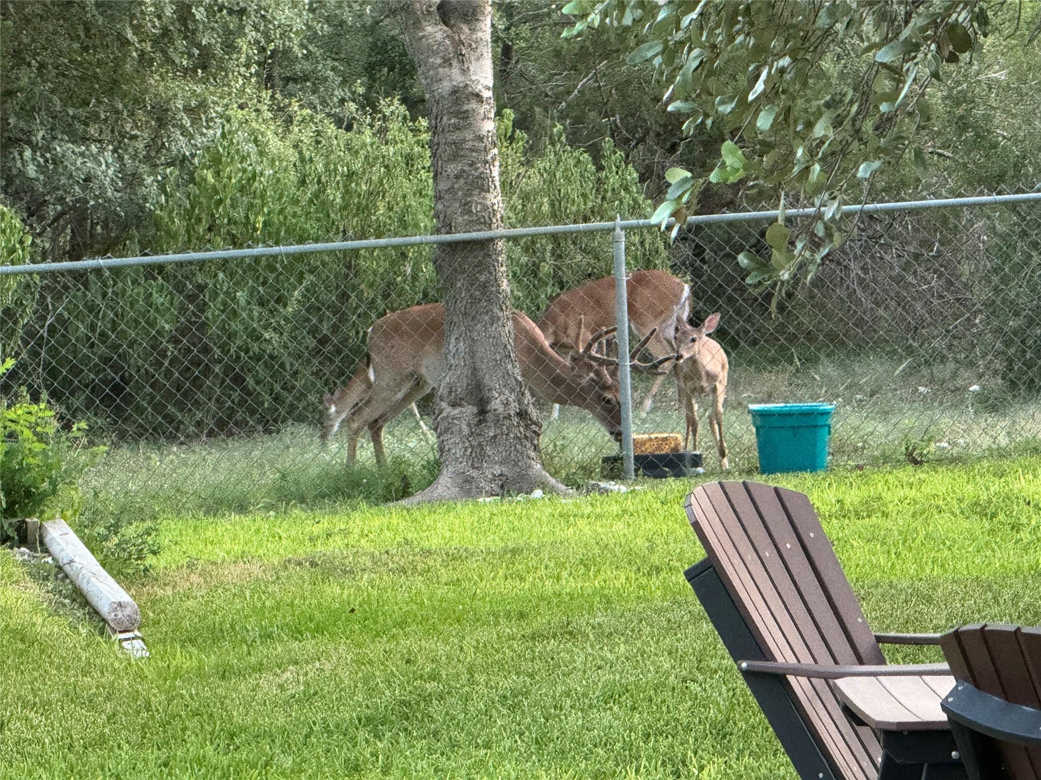 309 Kings Canyon Dr S, Cedar Park, TX 78613