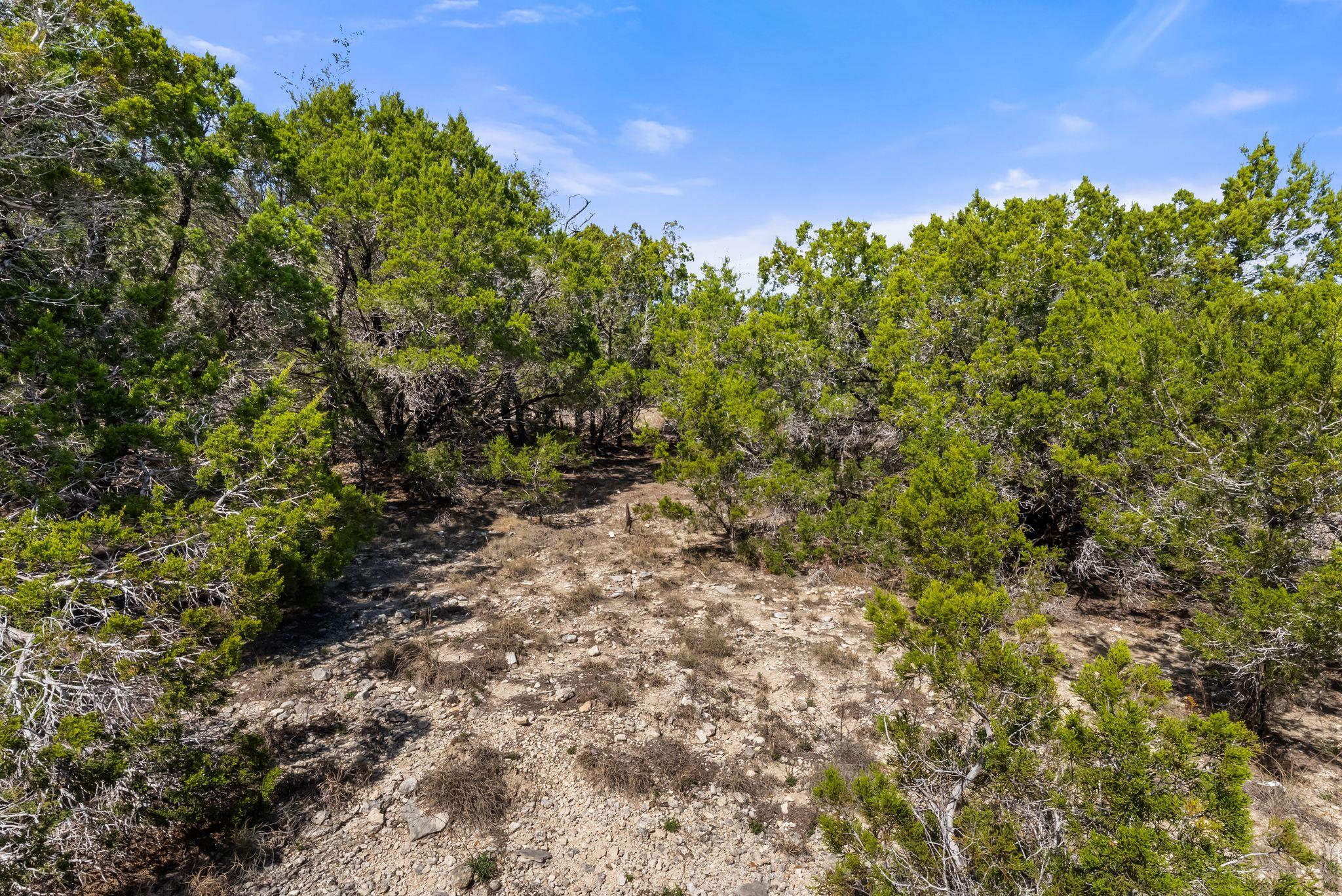 506 Bella Montagna Cir, Austin, TX 78734