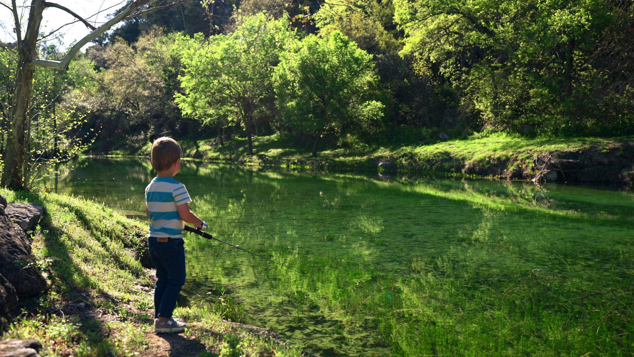 11953 Overlook Pass, Austin, TX 78738