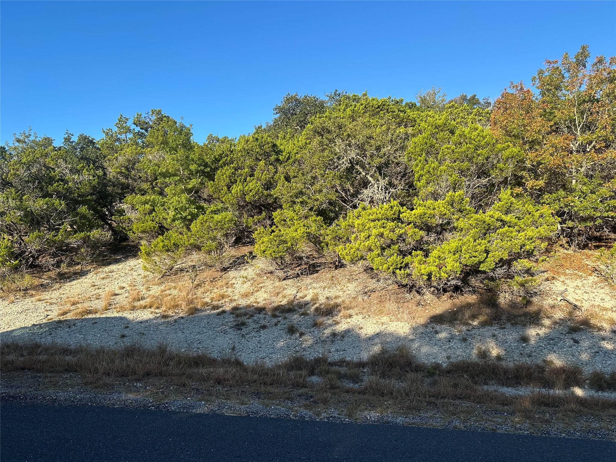 7397 Amber Rene Dr, Belton, TX 76513