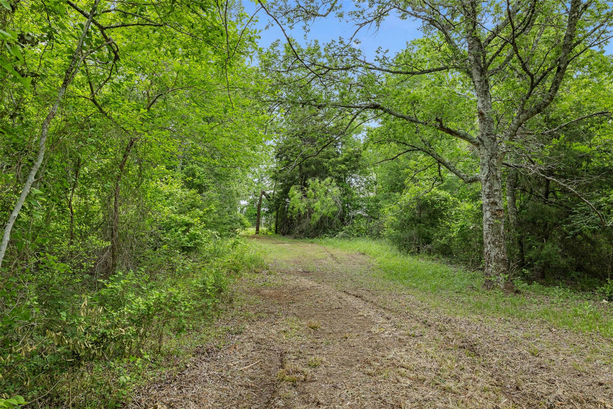 3797 County Road 328, Caldwell, TX 77836