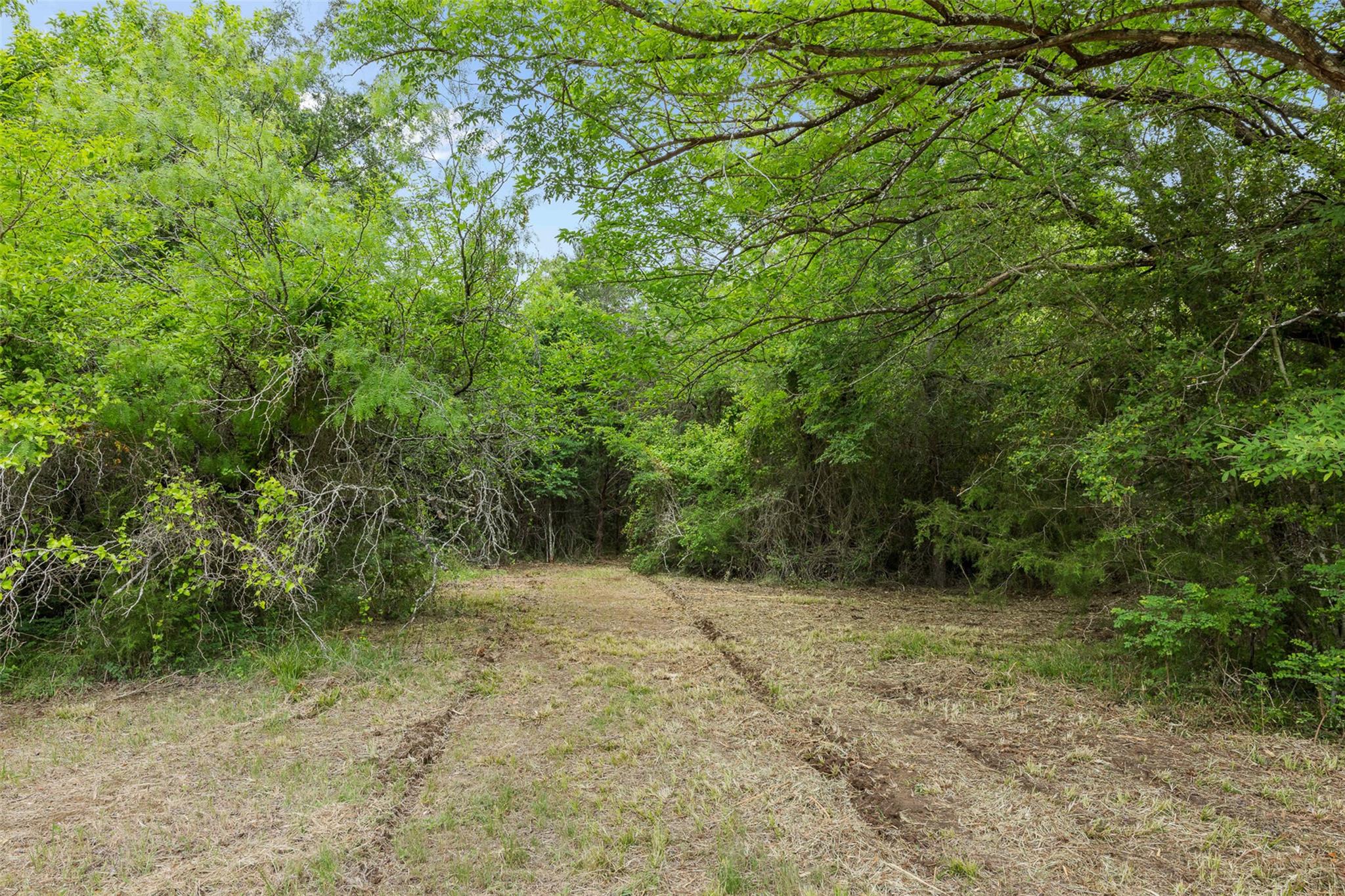 3797 County Road 328, Caldwell, TX 77836