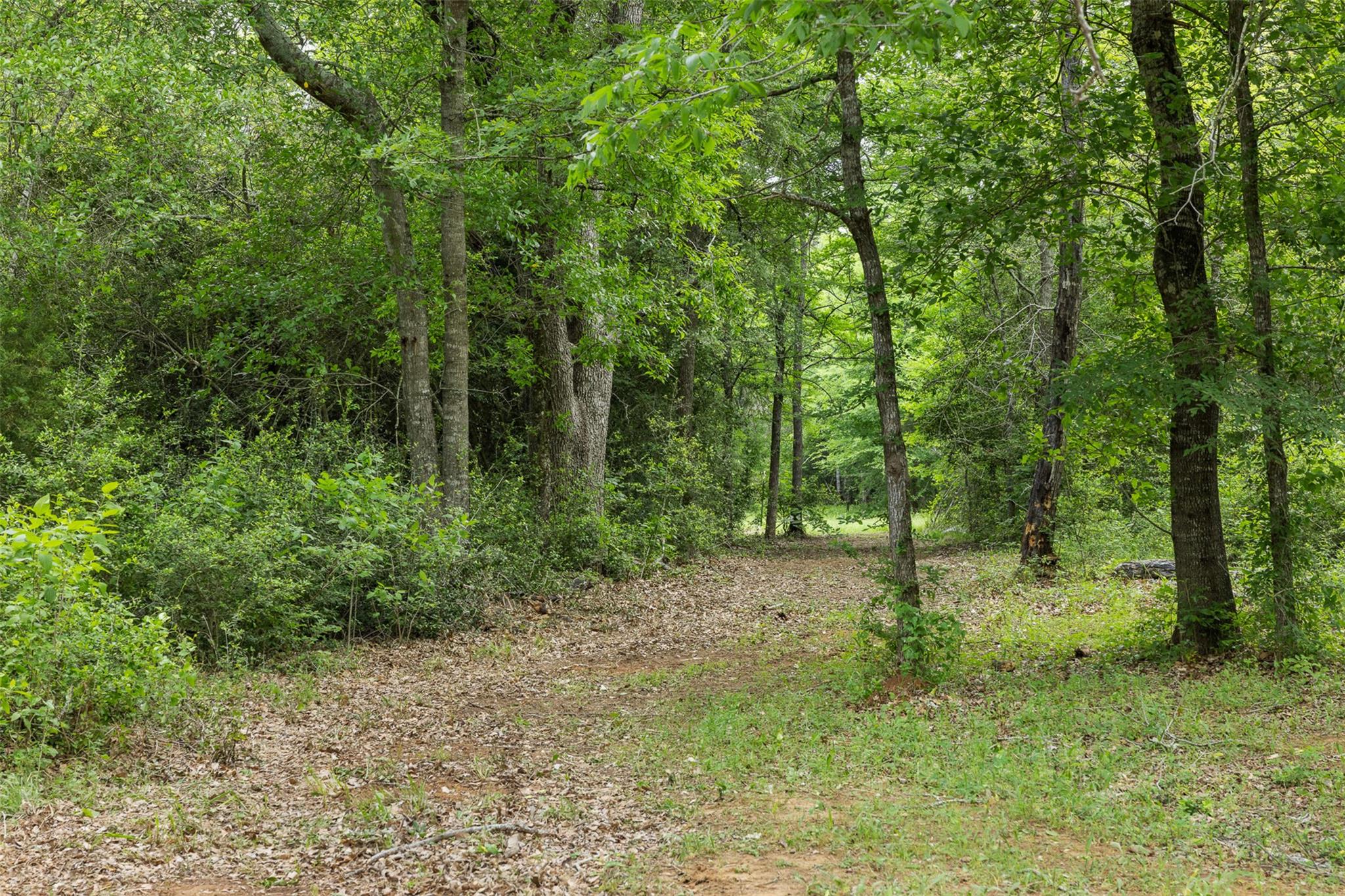 3797 County Road 328, Caldwell, TX 77836