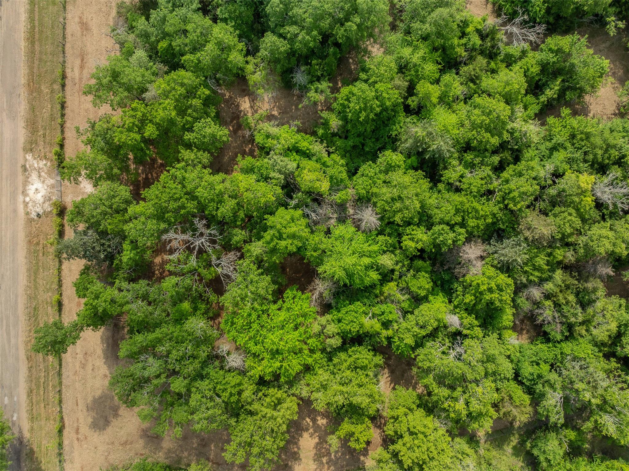 3797 County Road 328, Caldwell, TX 77836