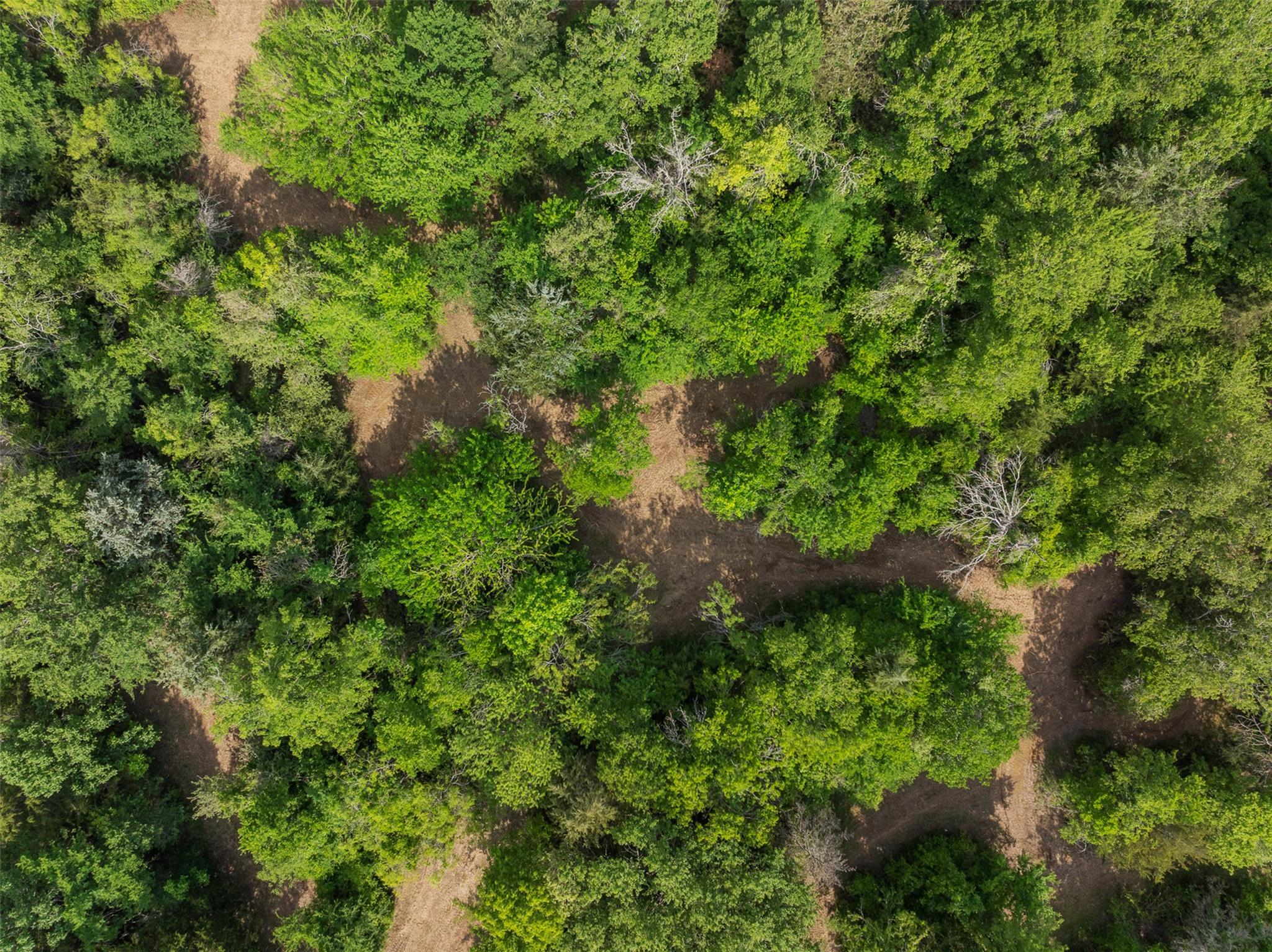 3797 County Road 328, Caldwell, TX 77836