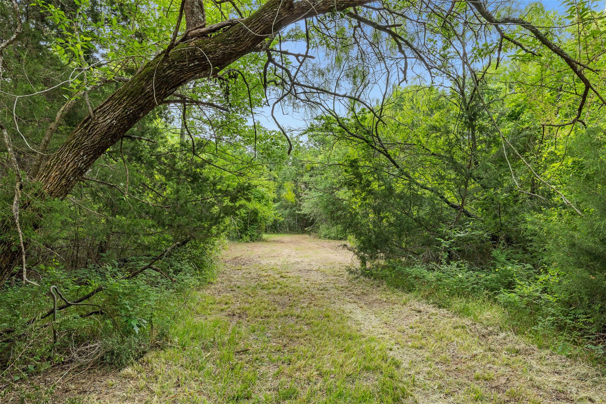 3797 County Road 328, Caldwell, TX 77836