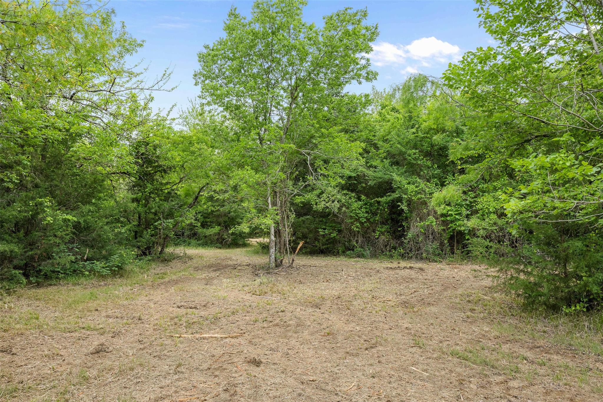 3797 County Road 328, Caldwell, TX 77836