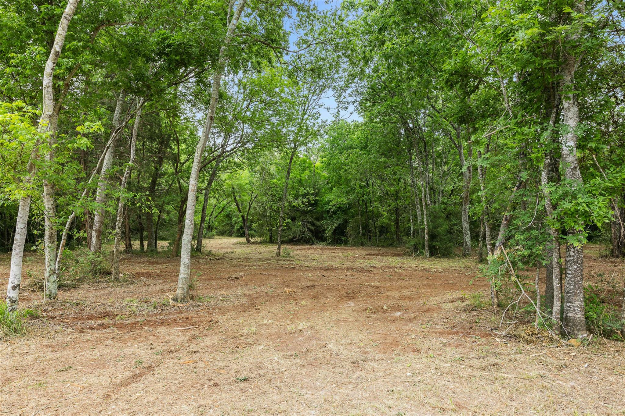 3797 County Road 328, Caldwell, TX 77836