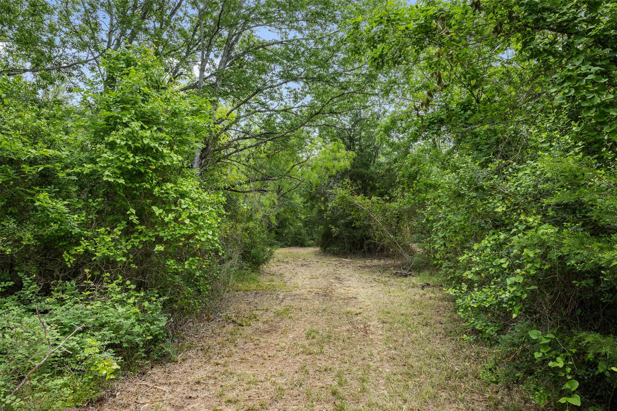3797 County Road 328, Caldwell, TX 77836