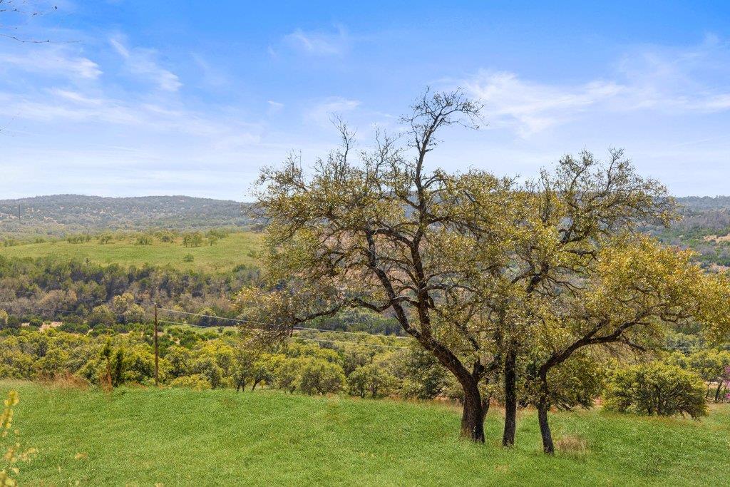 158 Watch Hill Rd, Stonewall, TX 78671