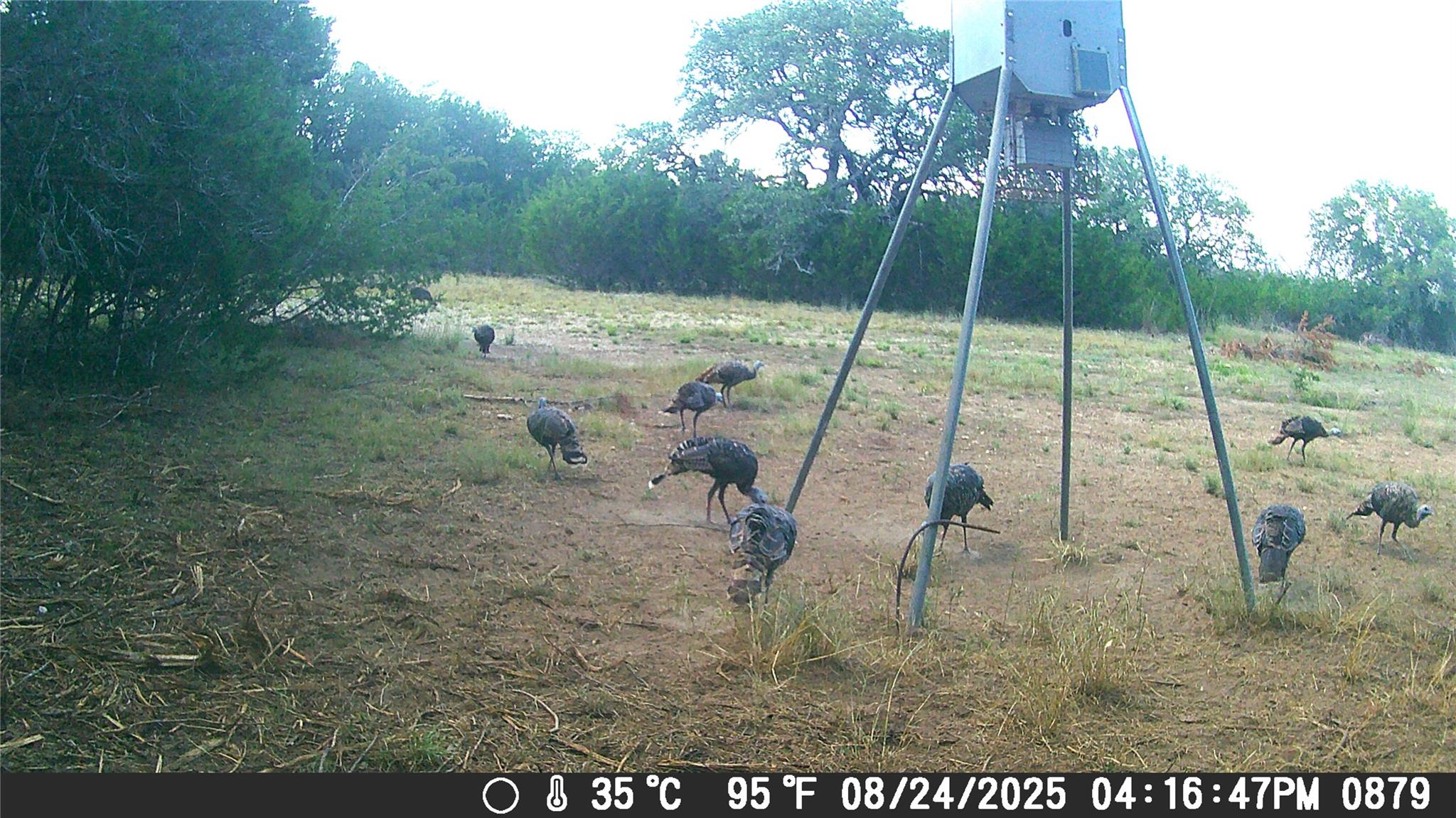 740 CR 206, Lampasas, TX 76550