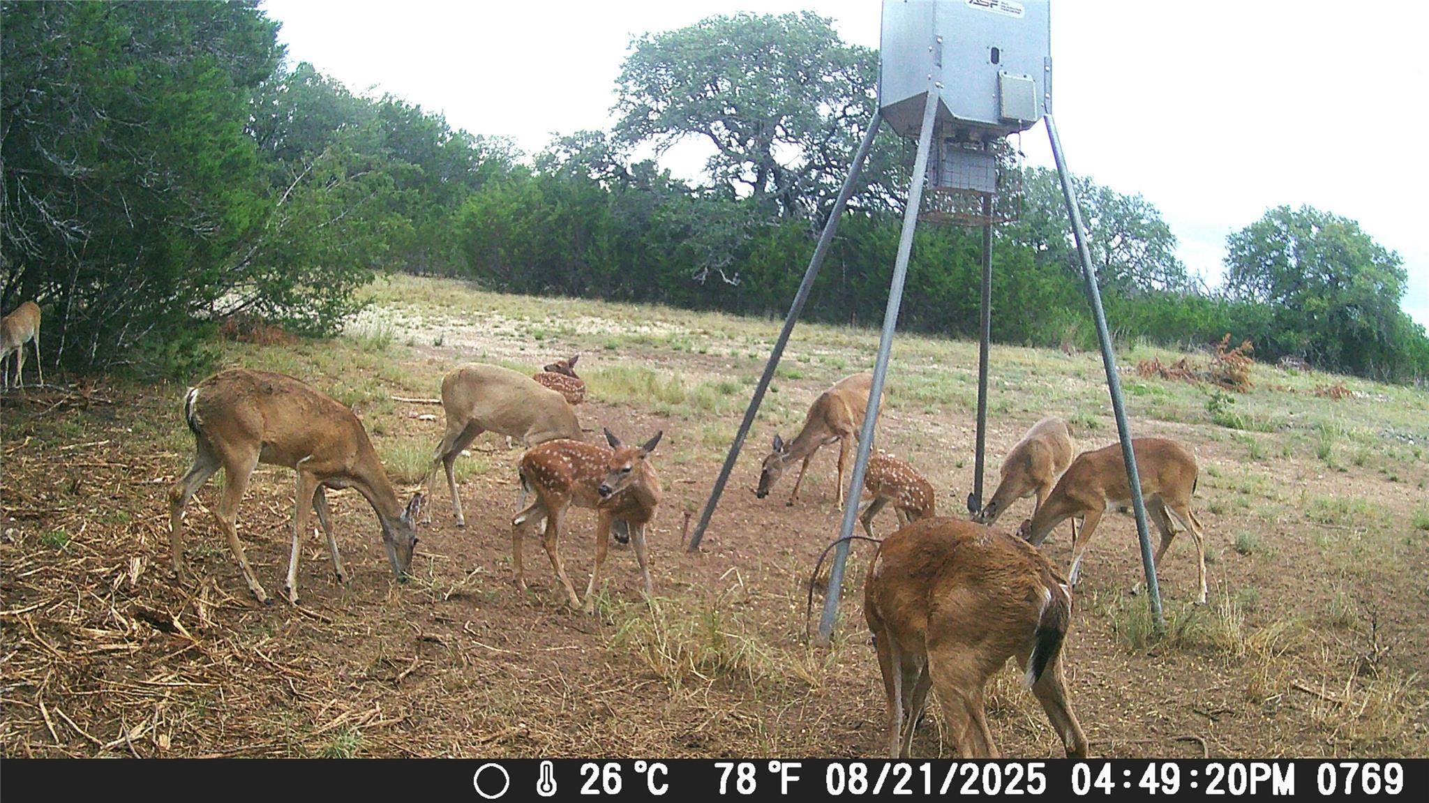 740 CR 206, Lampasas, TX 76550