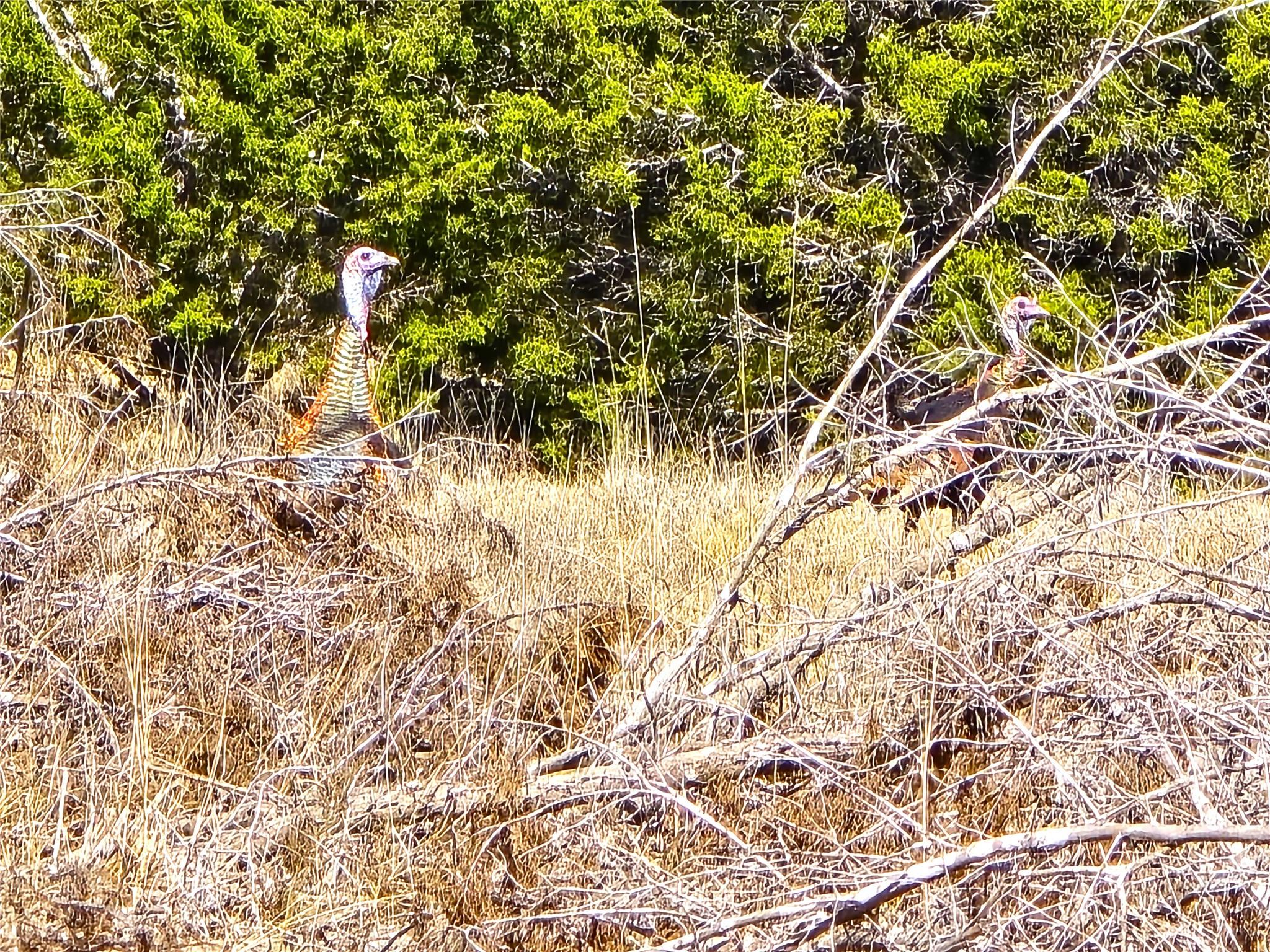 740 CR 206, Lampasas, TX 76550