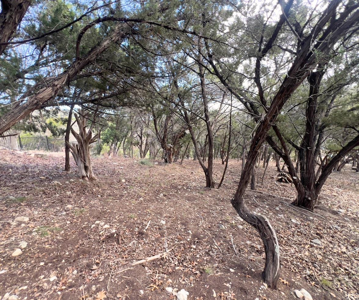 18505 Monet Pointe Dr, Jonestown, TX 78645