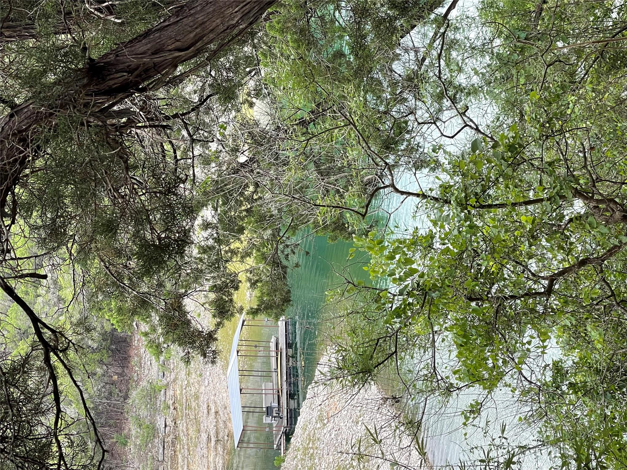 18505 Monet Pointe Dr, Jonestown, TX 78645