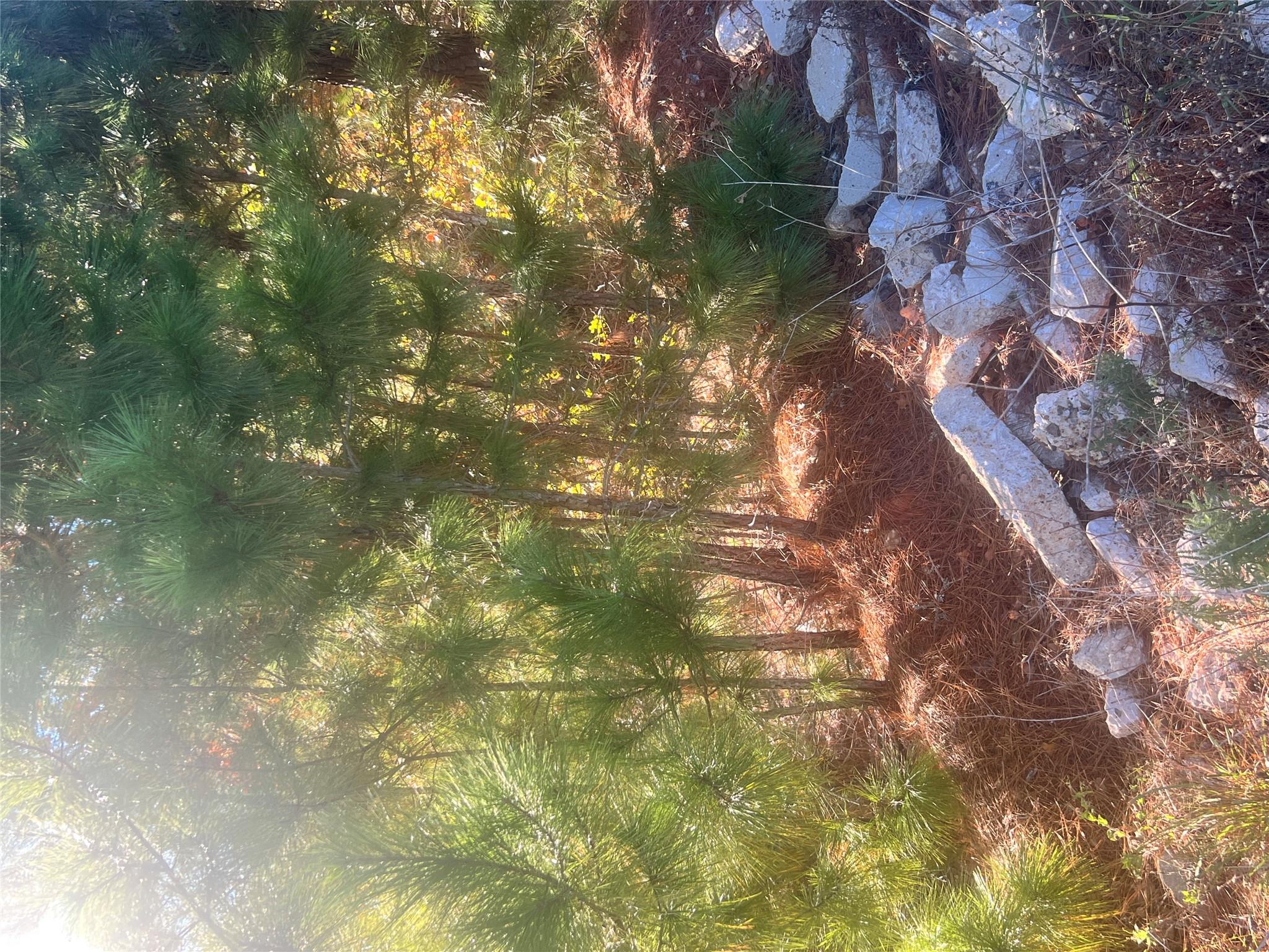 TBD Onini Ct, Bastrop, TX 78602