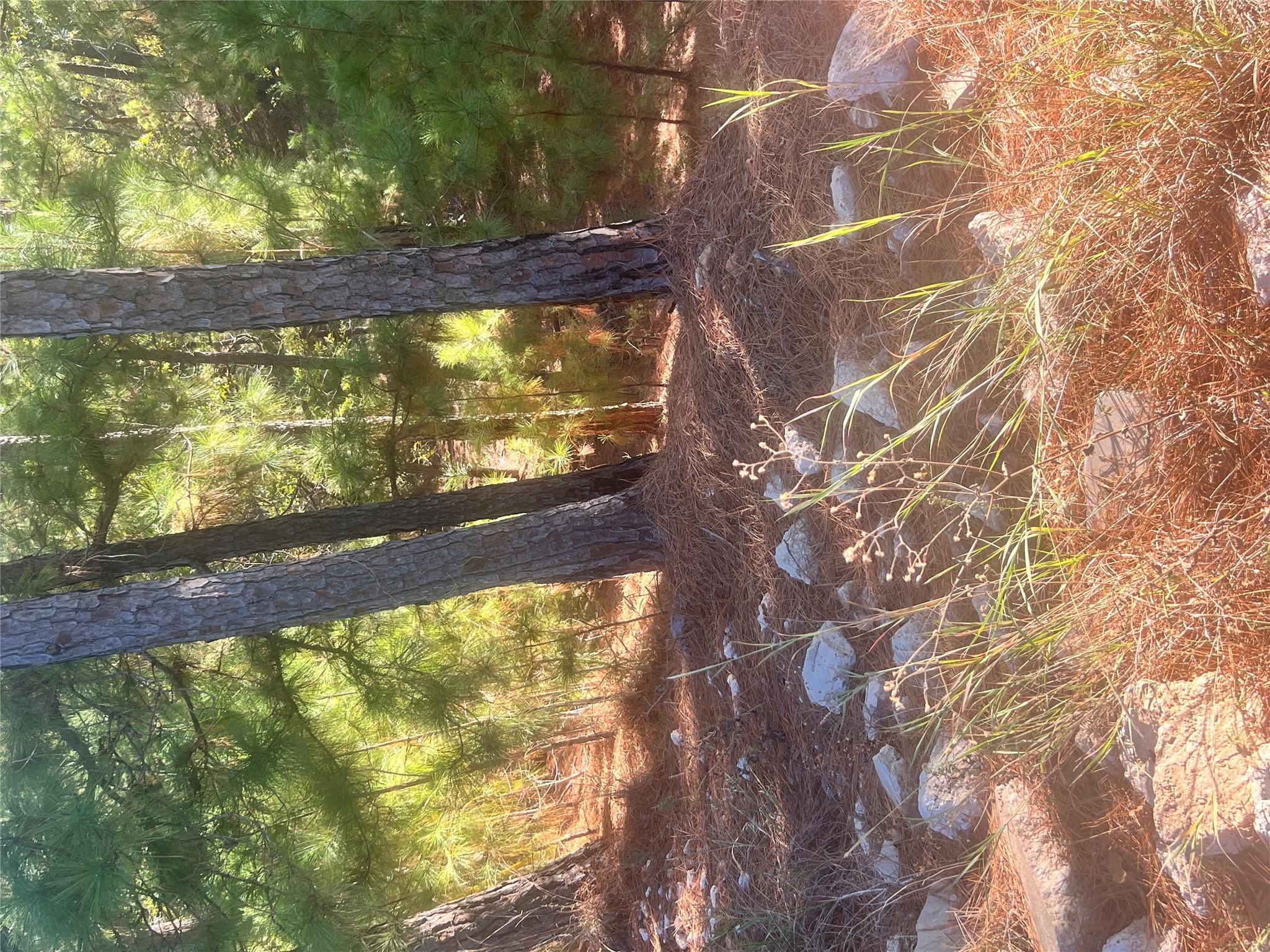 TBD Onini Ct, Bastrop, TX 78602