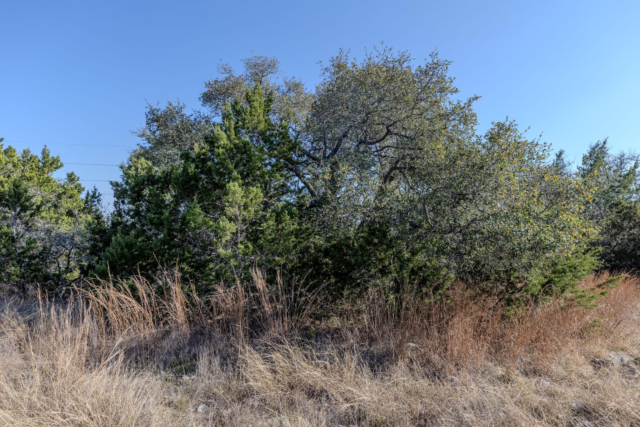 TBD Lot 5 Sanctuary Ln, Blanco, TX 78606